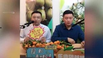 胖子娱乐吃瓜厅,揭秘娱乐圈幕后故事，带你领略明星们的真实生活